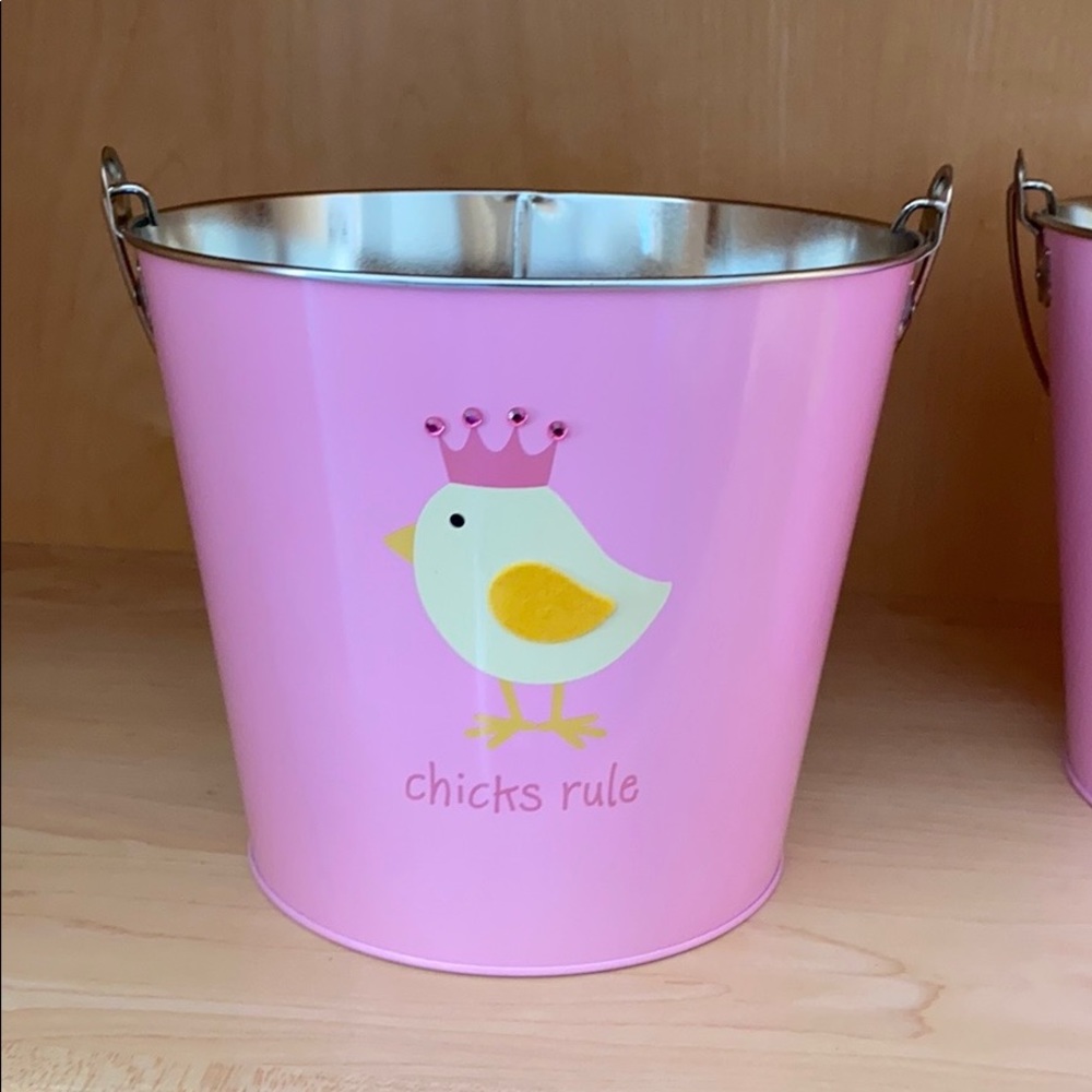 “Chicks Rule” Easter Baskets / Buckets - Picture 2 of 5